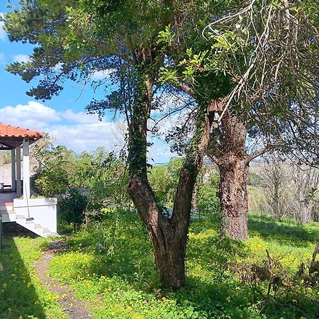 Villa Quintinha A 35Min De Lisboa Mafra Esterno foto