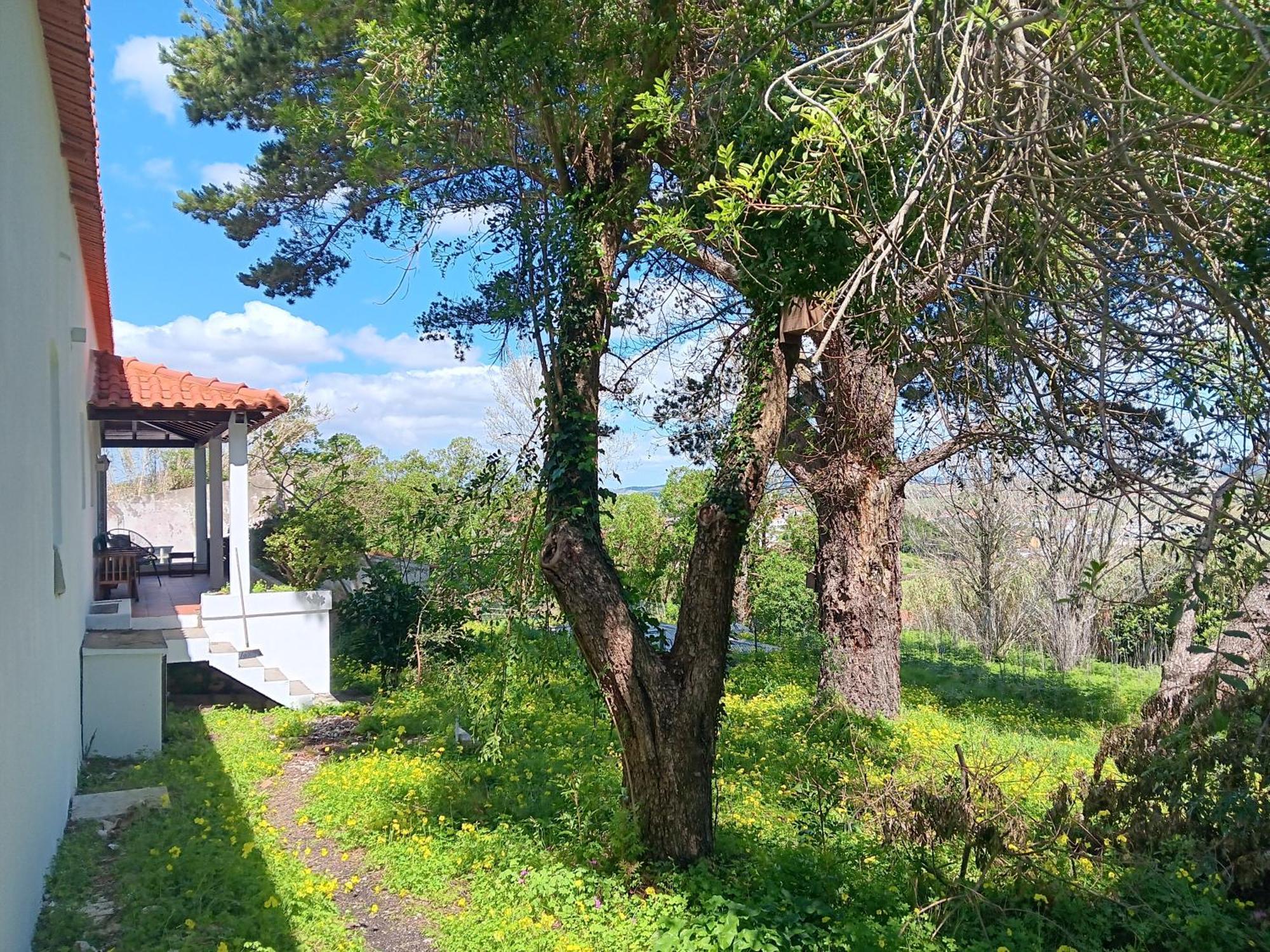 Villa Quintinha A 35Min De Lisboa Mafra Esterno foto